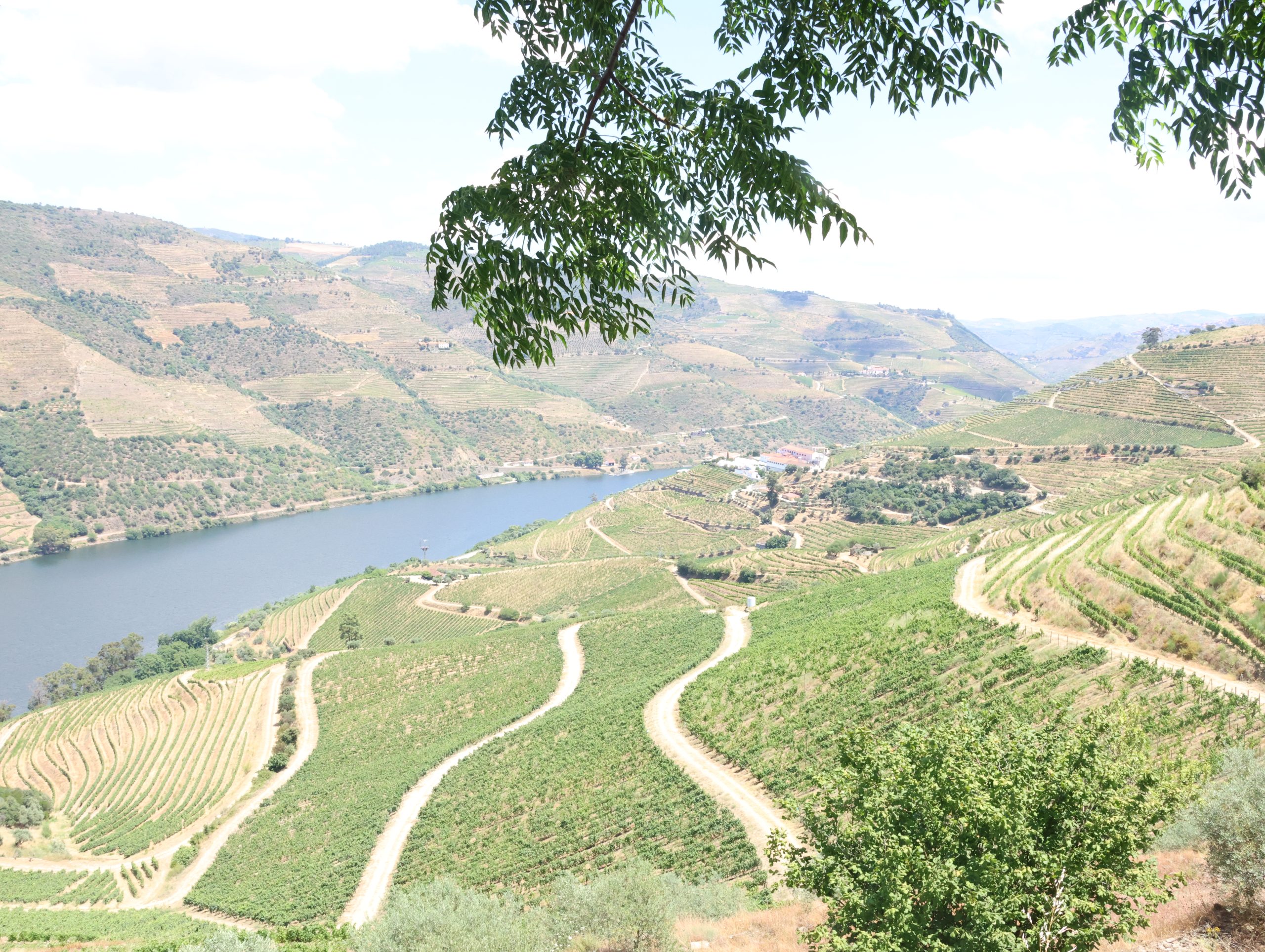 Experiências Quinta do Laranjo
