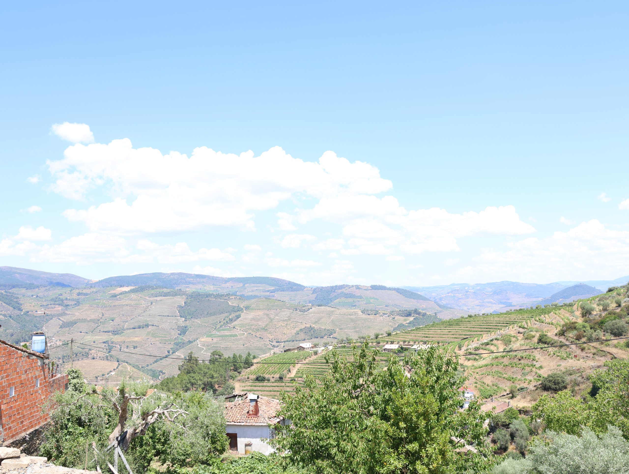 Vistas da Quinta